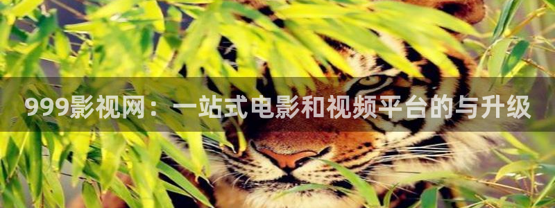 久久免费精品一区二区稀精东影业