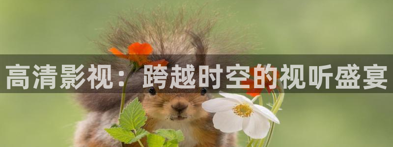 精东影业在线播放