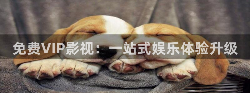 精东影业怦然心动